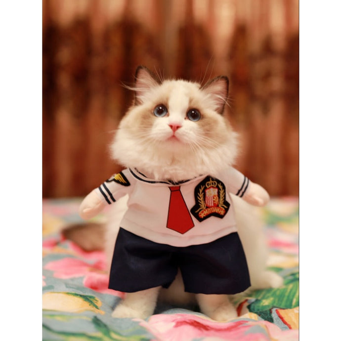 Small Cats Clothes Clothing Dogs Cos Play For Dress Pets Cat Costume Products Puppy Halloween kat kleding vetement chat