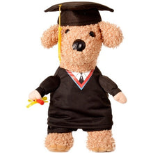 Charger l&#39;image dans la galerie, Small Cats Clothes Funny Cos Play Dogs Clothing Suit Halloween For Dress Pets Cat Costume Products hunde vetement chat