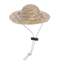 Charger l&#39;image dans la galerie, Hawaiian Style Pet Sombrero Hat Dog Cat Hat Small/Large Diameter 14/ 16cm
