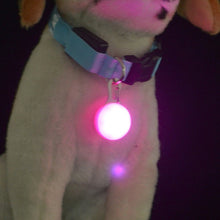 Charger l&#39;image dans la galerie, 1 Pcs LED Pet Dog Collar Cute Pendant Night Safety Pendant Luminous Night Light Collar Pedant Pet Supplies Dog Accessories
