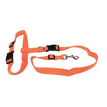Charger l&#39;image dans la galerie, Attractive Traction Pulling Leash Pet Dog Running Jogging Convenient Safe Fashional Goods for pets