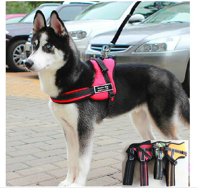 Nylon Pets Dogs harnesses collars Pulling Training Harness Sport Working Dog Fit harnais pour chien For Husky Pitbull Lage